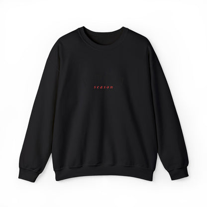 Crewneck Sweatshirt — Embroidered Black “Pumpkin Season” Fall Graphic